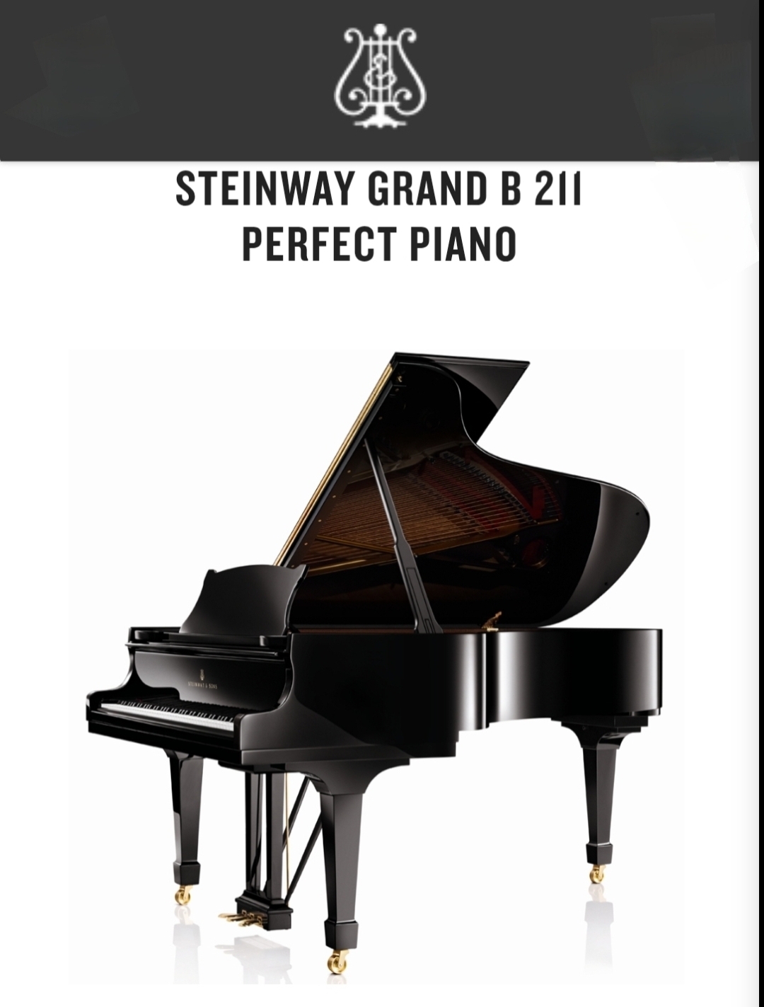#piano #grandpiano #steinway